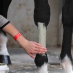 Argile LPC - Tend'Argile - Image 5