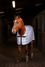 RIDING WORLD Decke – Mesh