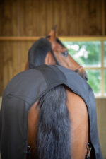 PADDOCK "Light Mesh" Sheet - Image 9