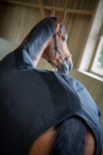 PADDOCK "Light Mesh" Sheet - Image 13