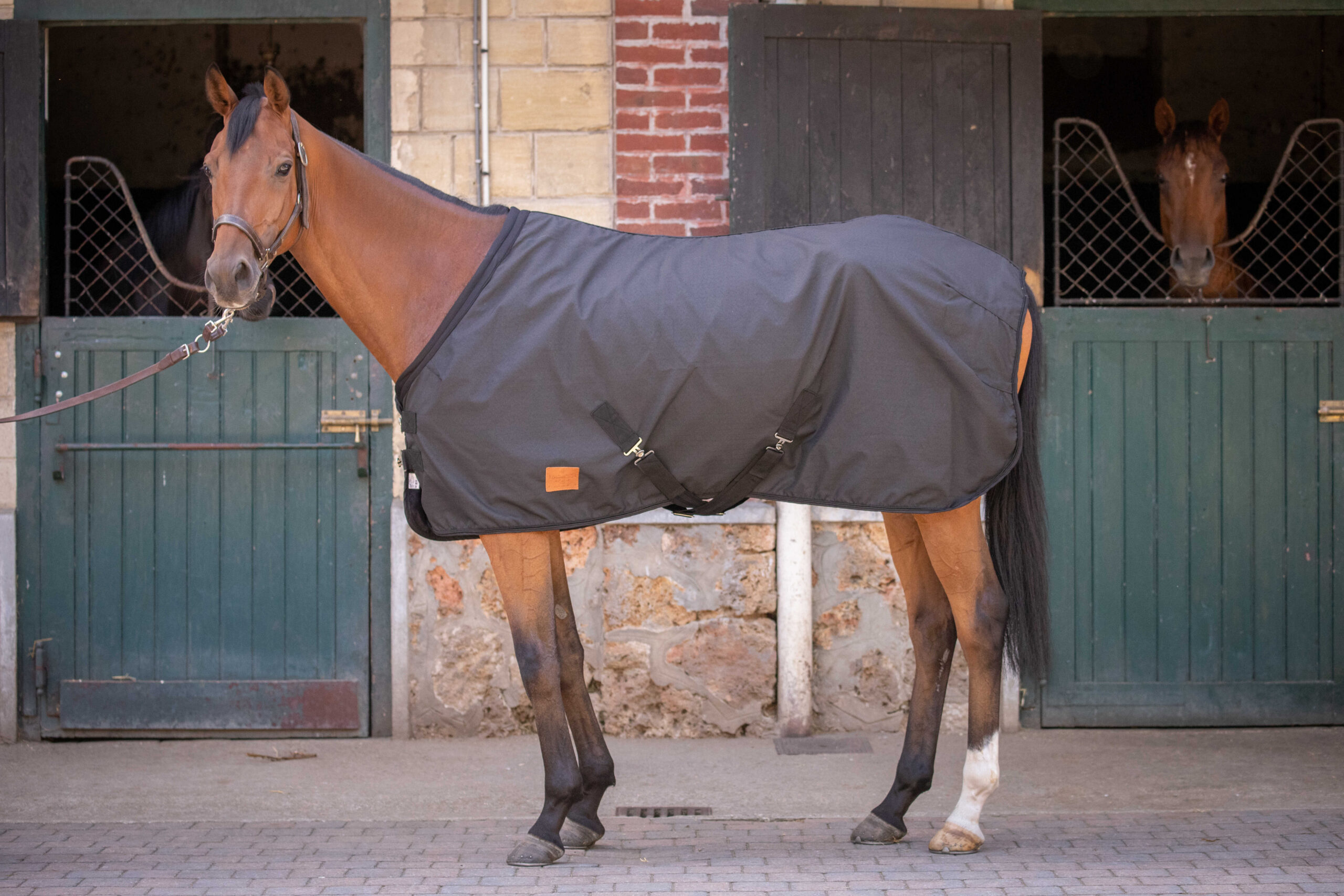 PADDOCK "Ripstop" stable sheet