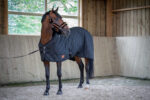 PADDOCK "Padded" stable rug