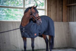 PADDOCK "Padded" stable rug - Image 2