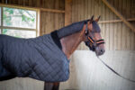 PADDOCK "Padded" stable rug - Image 3