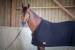 PADDOCK "Séchante" cooler rug - Image 3