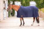 PADDOCK "Séchante" cooler rug - Image 15