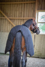 PADDOCK Underrug 200 gr. - Image 2