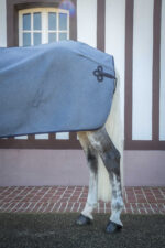 PADDOCK "Wooltouch" rug - Image 4