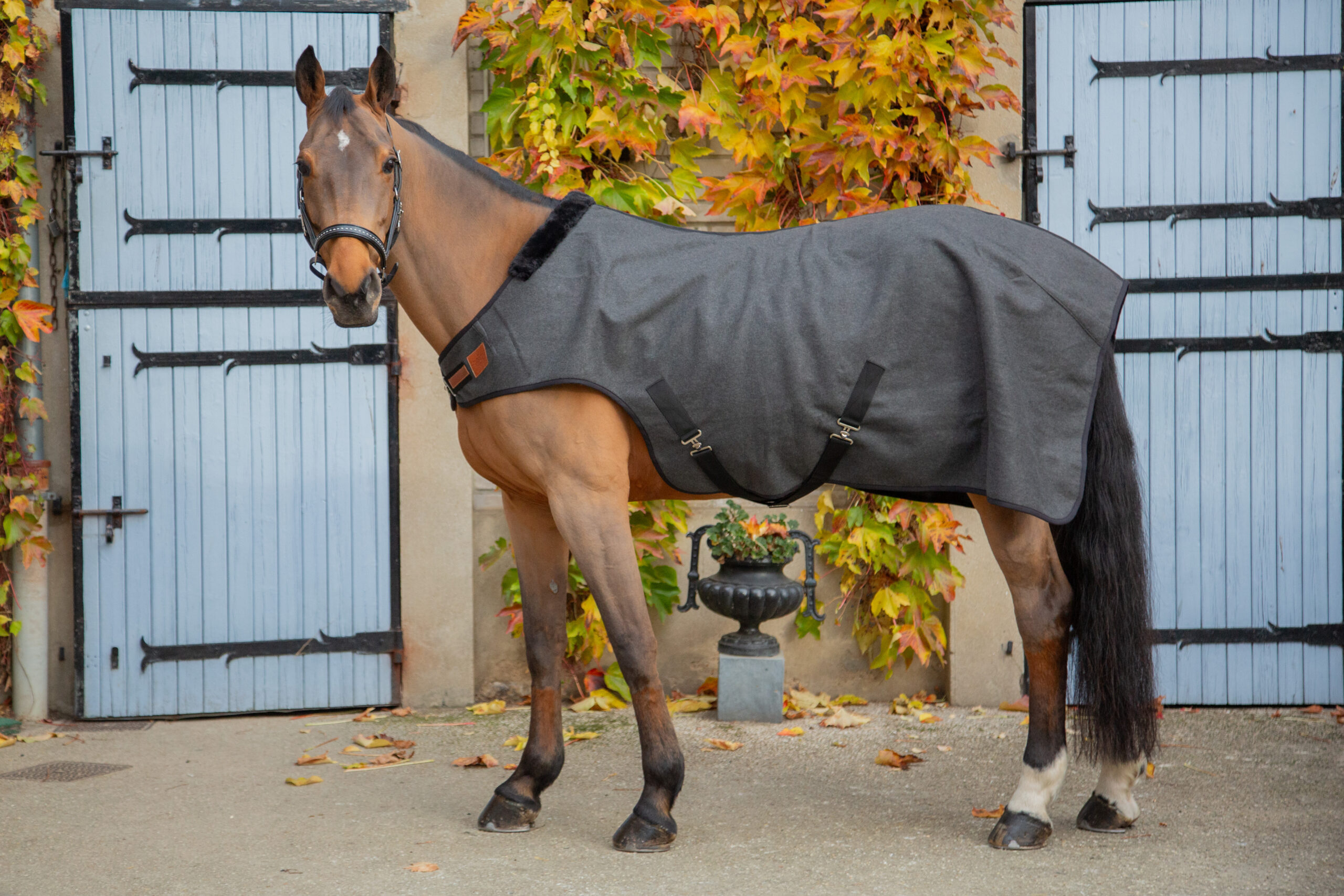 PADDOCK "Woolt" horse walker blanket