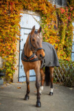 PADDOCK "Woolt" horse walker blanket - Image 2