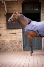 PADDOCK "Woolt" horse walker blanket - Image 14