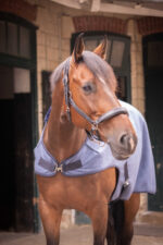 PADDOCK "Woolt" horse walker blanket - Image 16