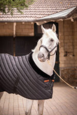 PADDOCK Stable rug 400 gr. - Image 8