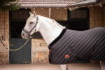 PADDOCK Stable rug 400 gr. - Image 9