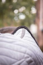 PADDOCK Stable rug - Diagonal 200 gr. - Image 5