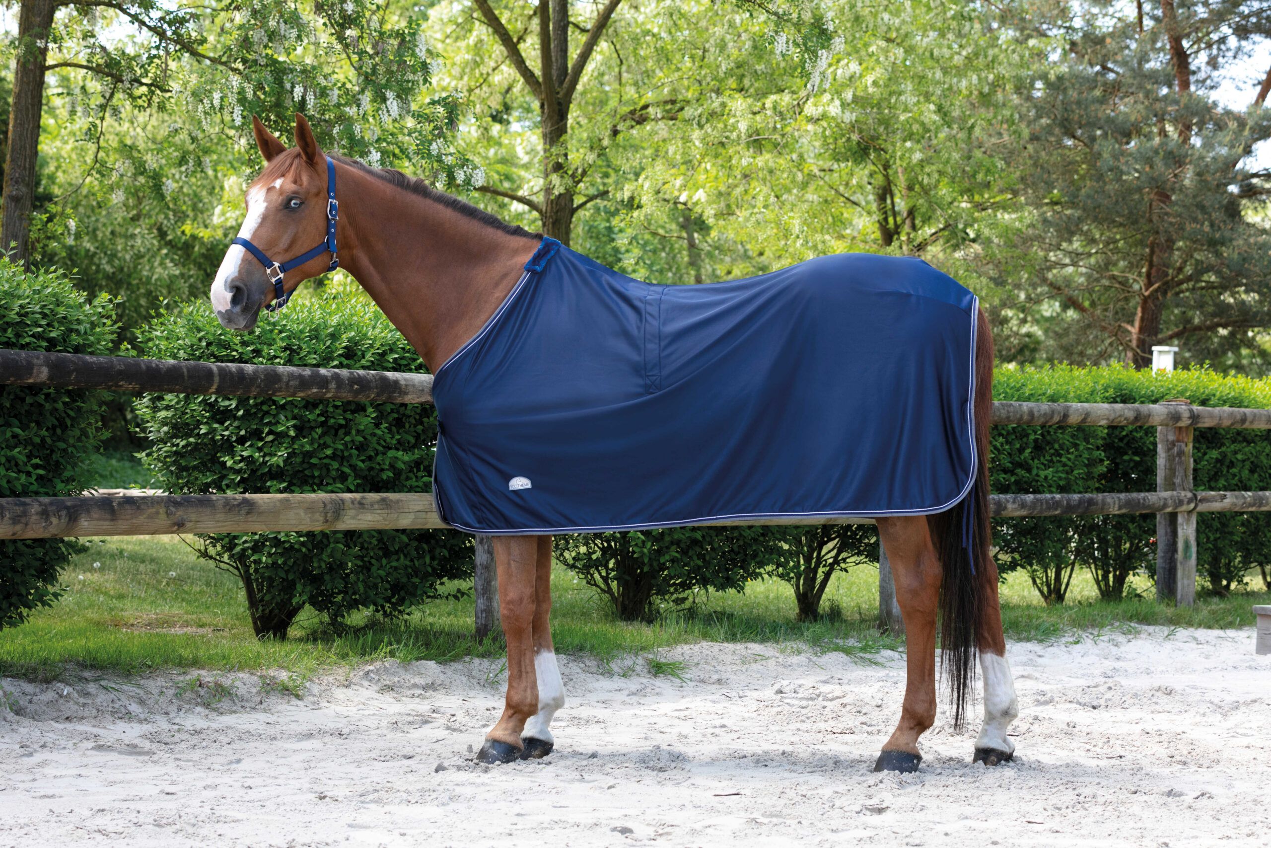 EQUITHÈME "Microfleece" standard blanket