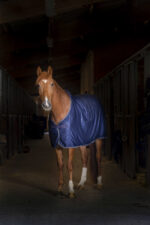 EQUITHÈME "Microfleece" standard blanket - Image 2