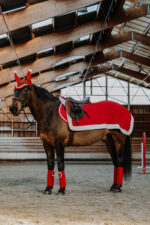 EQUITHÈME Exercise Rug - Xmas