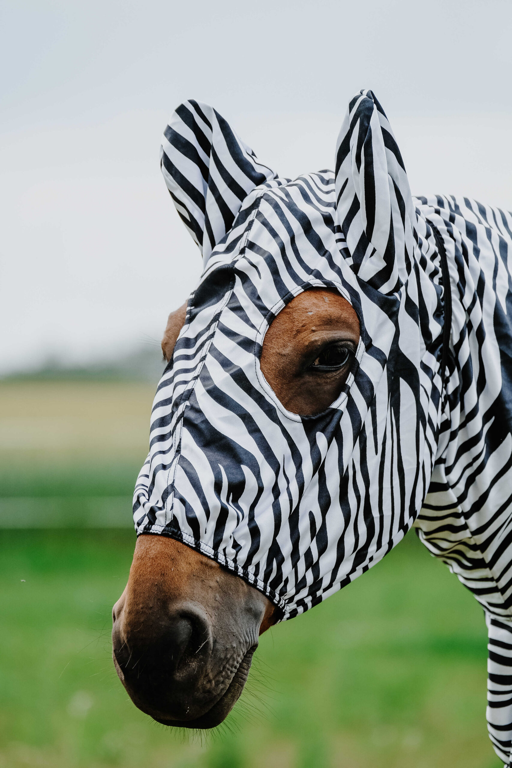 RIDING WORLD Anti-Eczema Hat