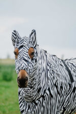 RIDING WORLD Anti-Eczema Hat - Image 2