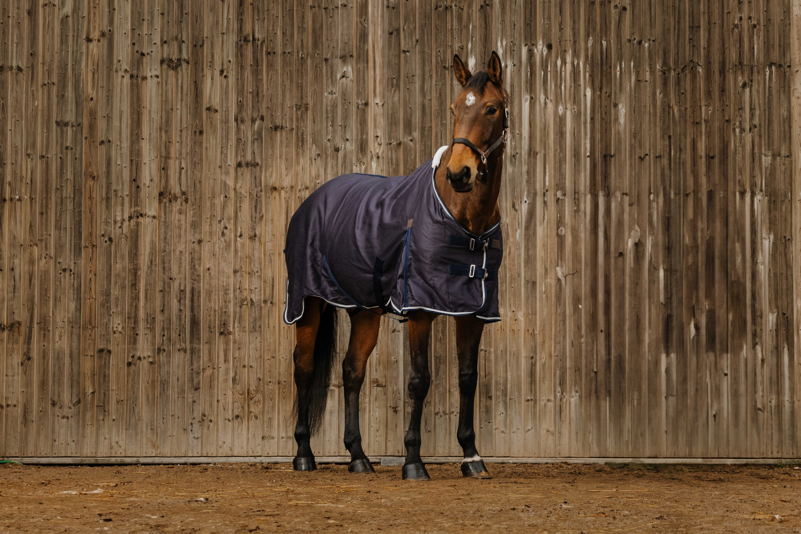 EQUITHÈME - Wave - Sheet