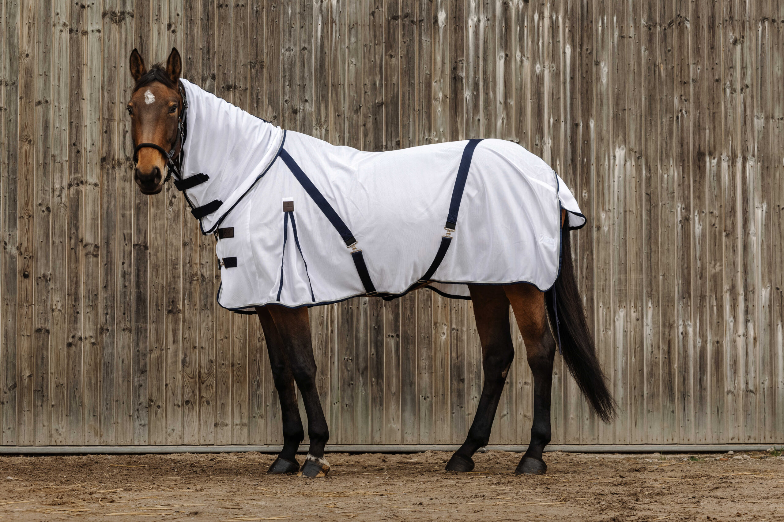 EQUITHÈME Anti-Insect Rug - Mesh Combination