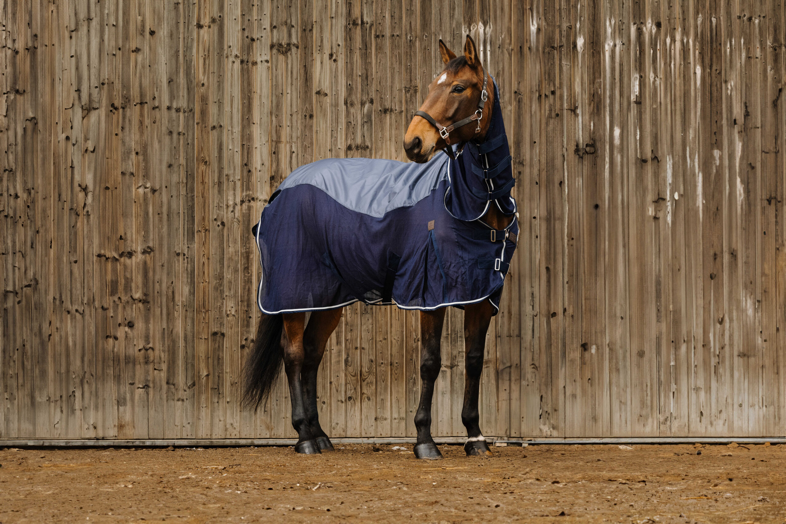400351063_ambi_1 EQUITHÈME Combi Blanket - Mixed - Image 1