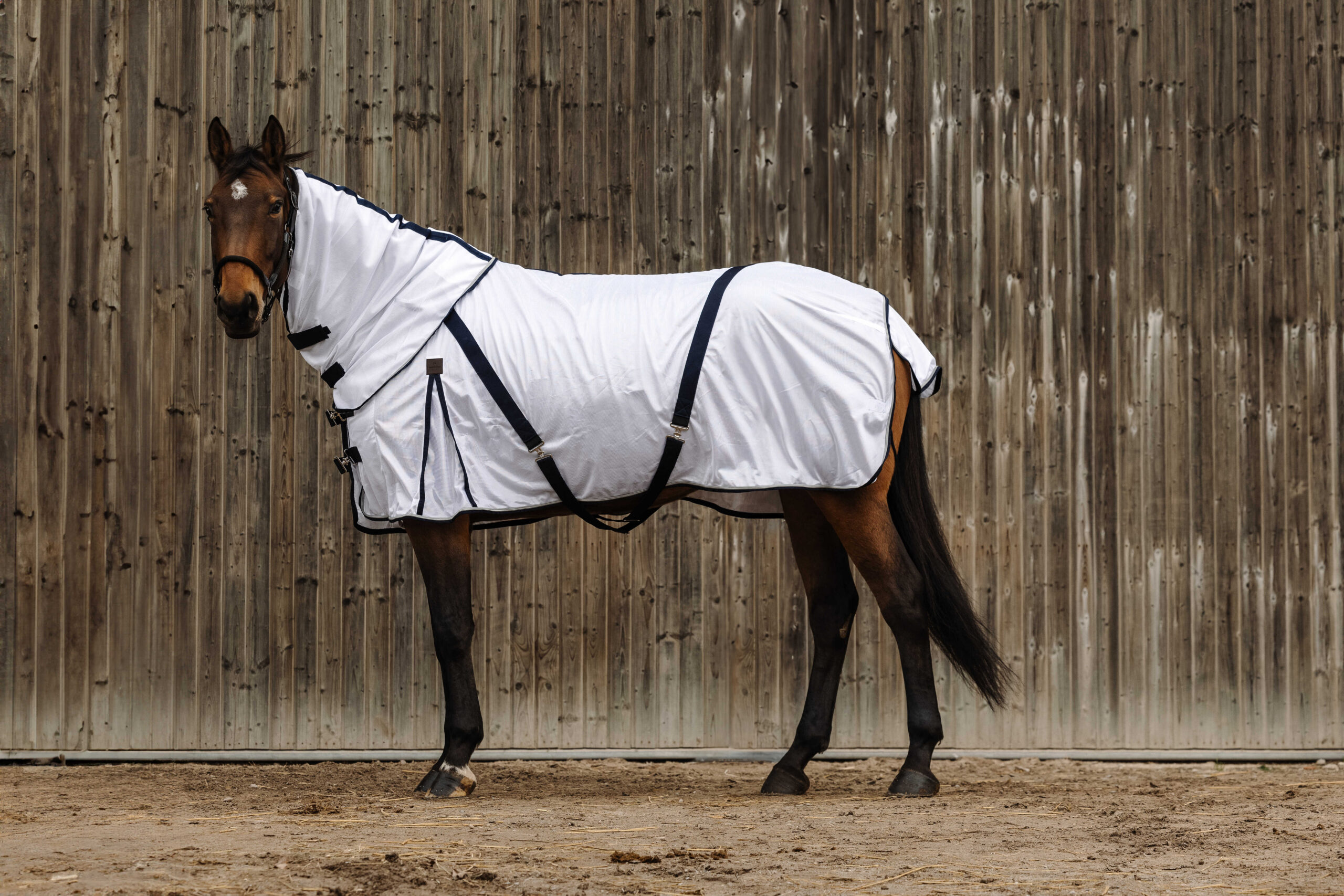 EQUITHÈME mesh neck protector