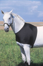 EQUITHÈME shoulder protection