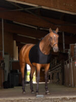 EQUITHÈME shoulder protection - Image 2