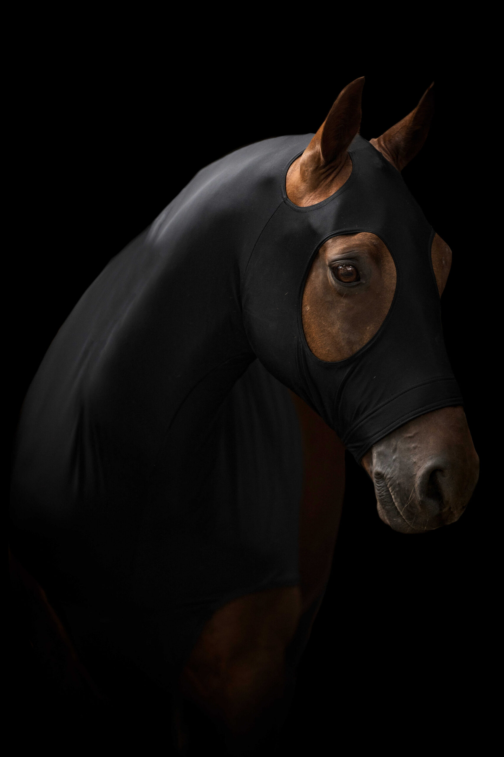 Neck protection LAMI-CELL - Lycra