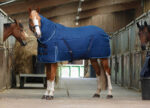 RIDING WORLD - Combo - stable rug 300 gr.