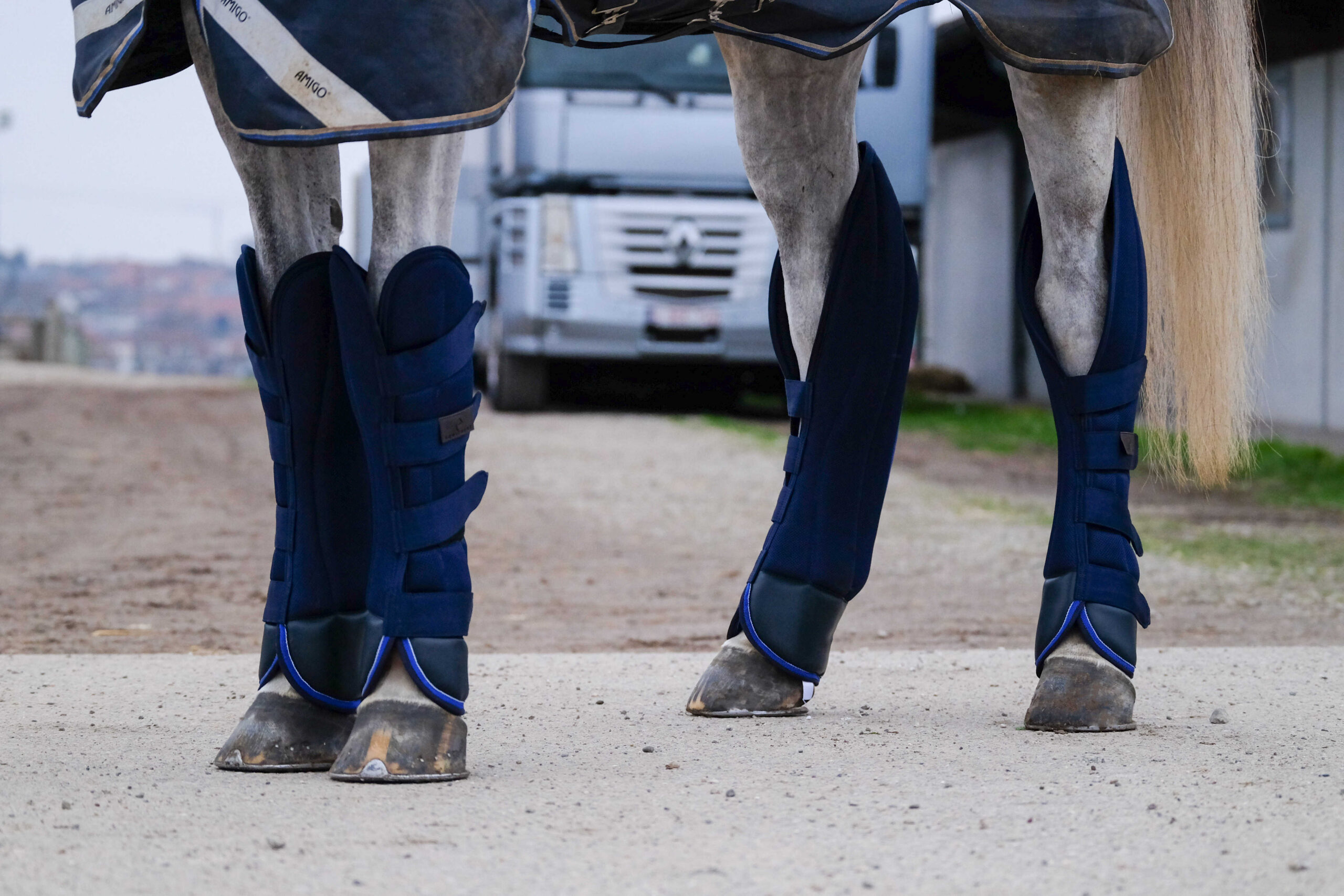 EQUITHÈME Transportgamaschen - Classic