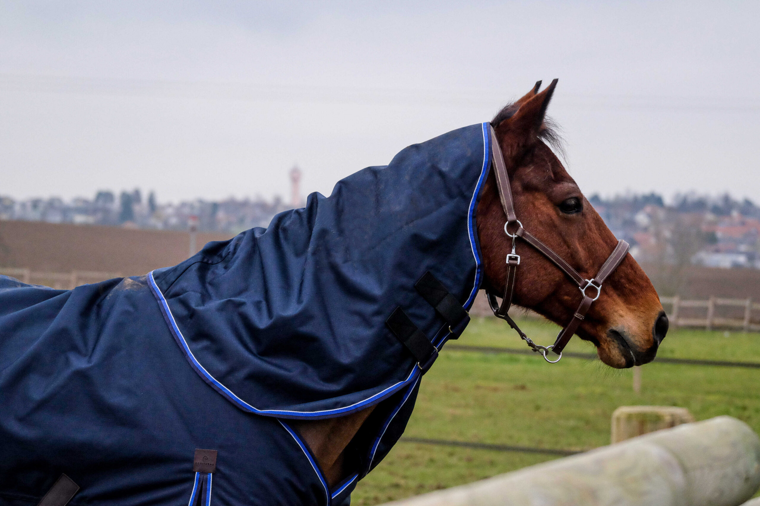 EQUITHÈME Neck Cover - Classic 1200D