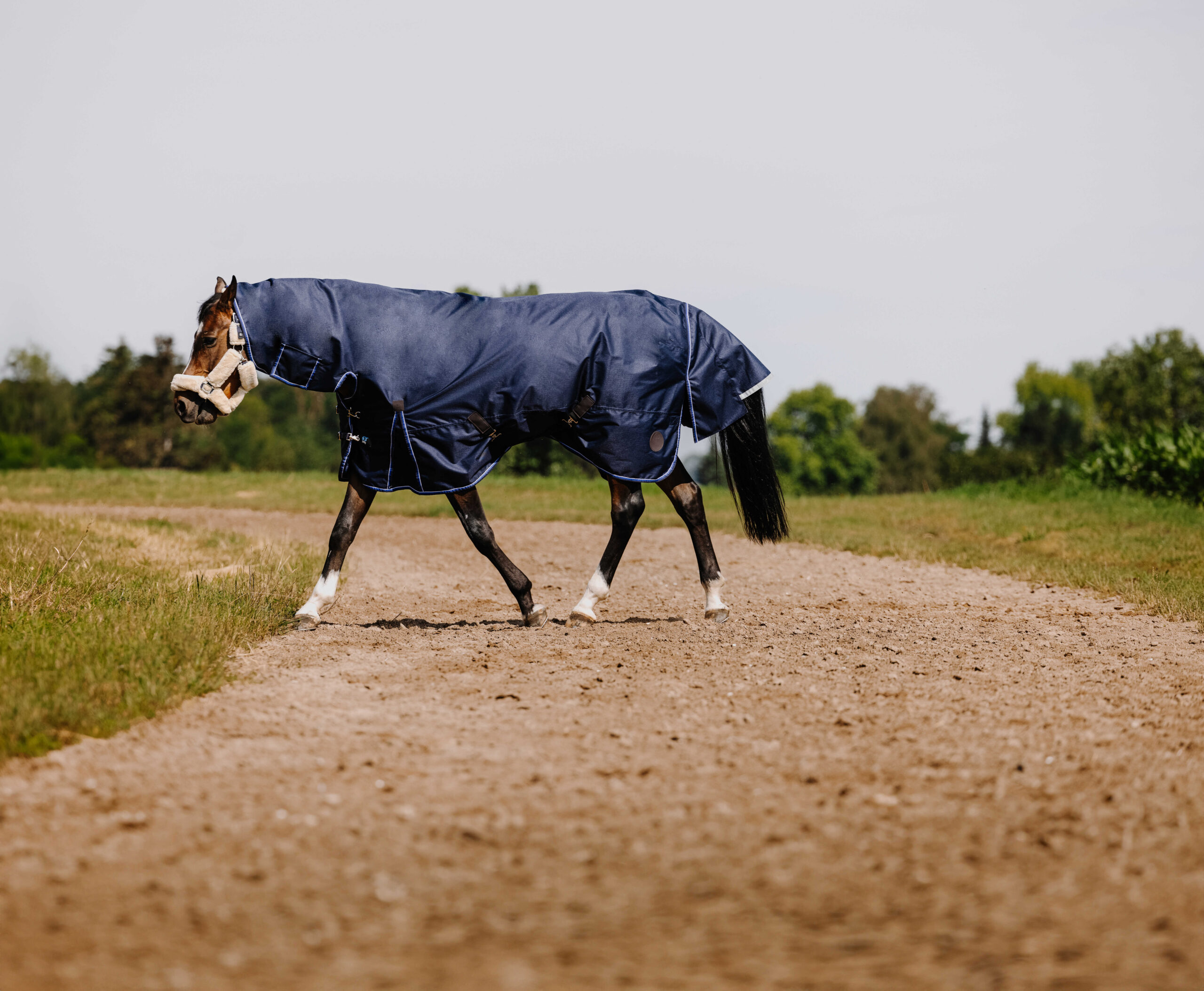 EQUITHÈME Classic 1200D - Combo Rug