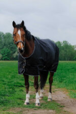 EQUITHÈME - TYREX 600D - Turnout Rug - Image 2