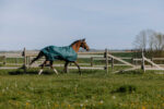 EQUITHÈME - TYREX 600D - Turnout Rug - Image 5