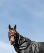 EQUITHÈME Neck Protector - TYREX 600D - Image 2