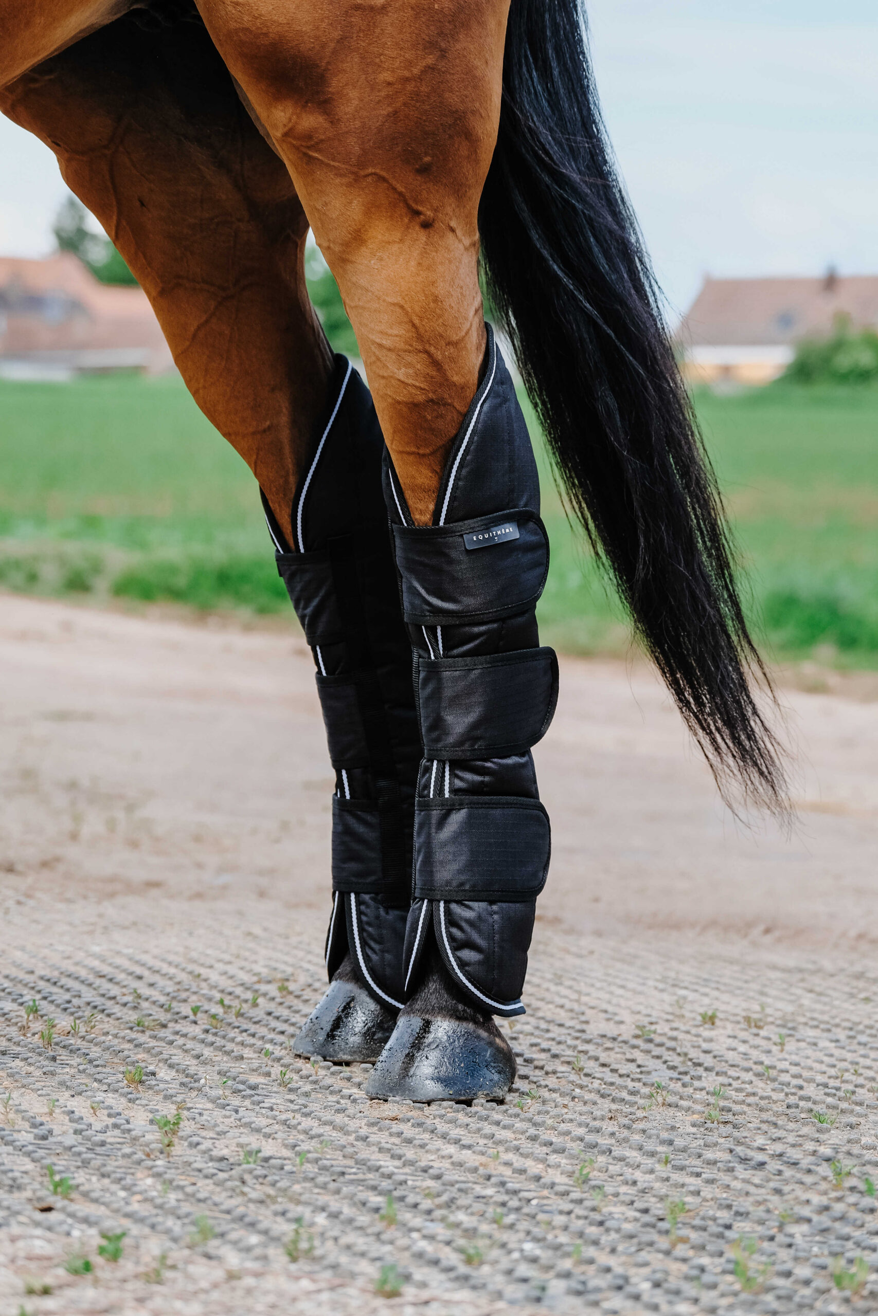 EQUITHÈME Transportgamaschen - TYREX 600D