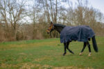 EQUITHÈME Turnout Rug – Anatomic Combo 1200D