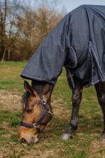 EQUITHÈME Turnout Rug 0g  – Anatomic Combo 1200D - Image 3