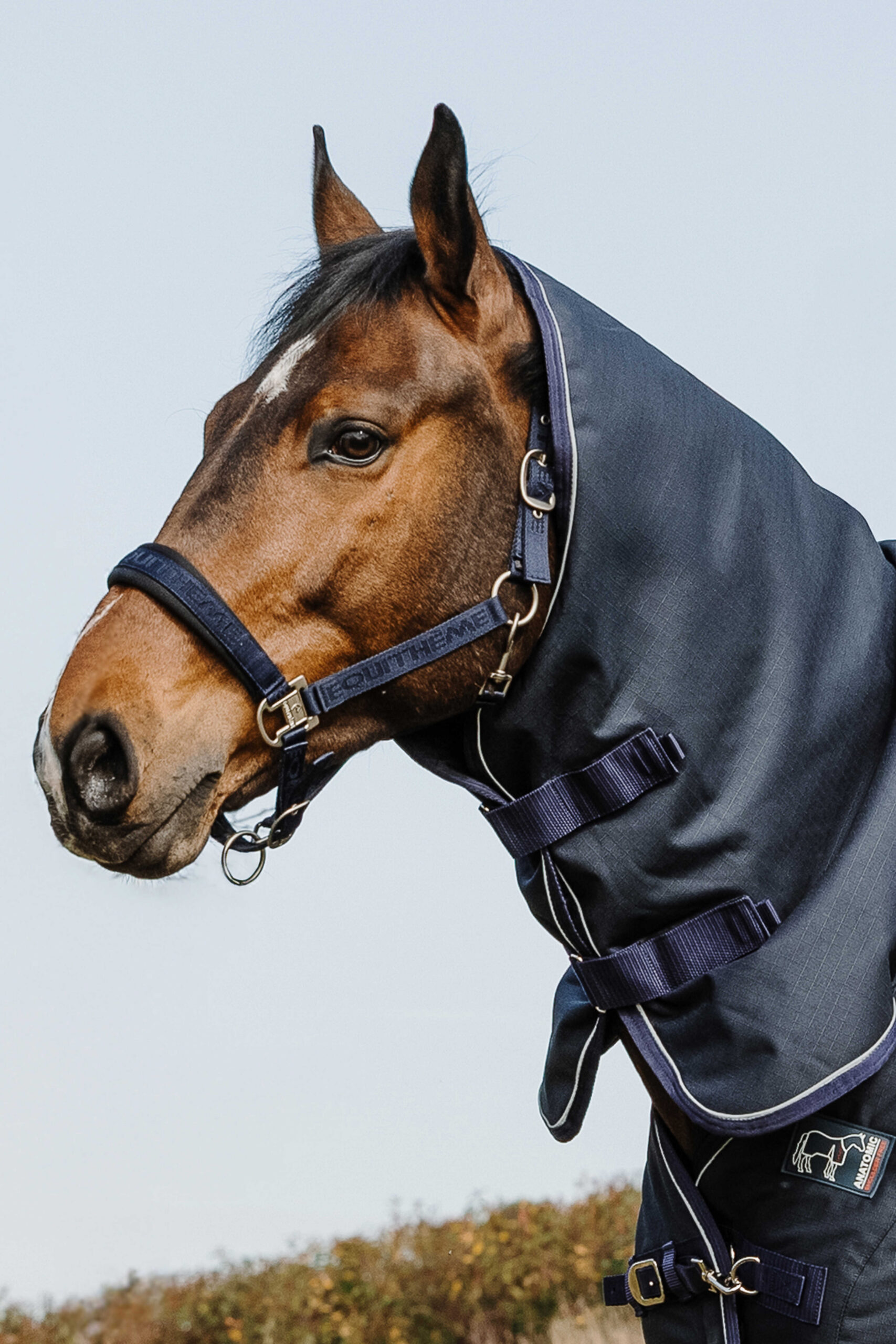 EQUITHÈME Neck Cover – Anatomic Aisance 1200D