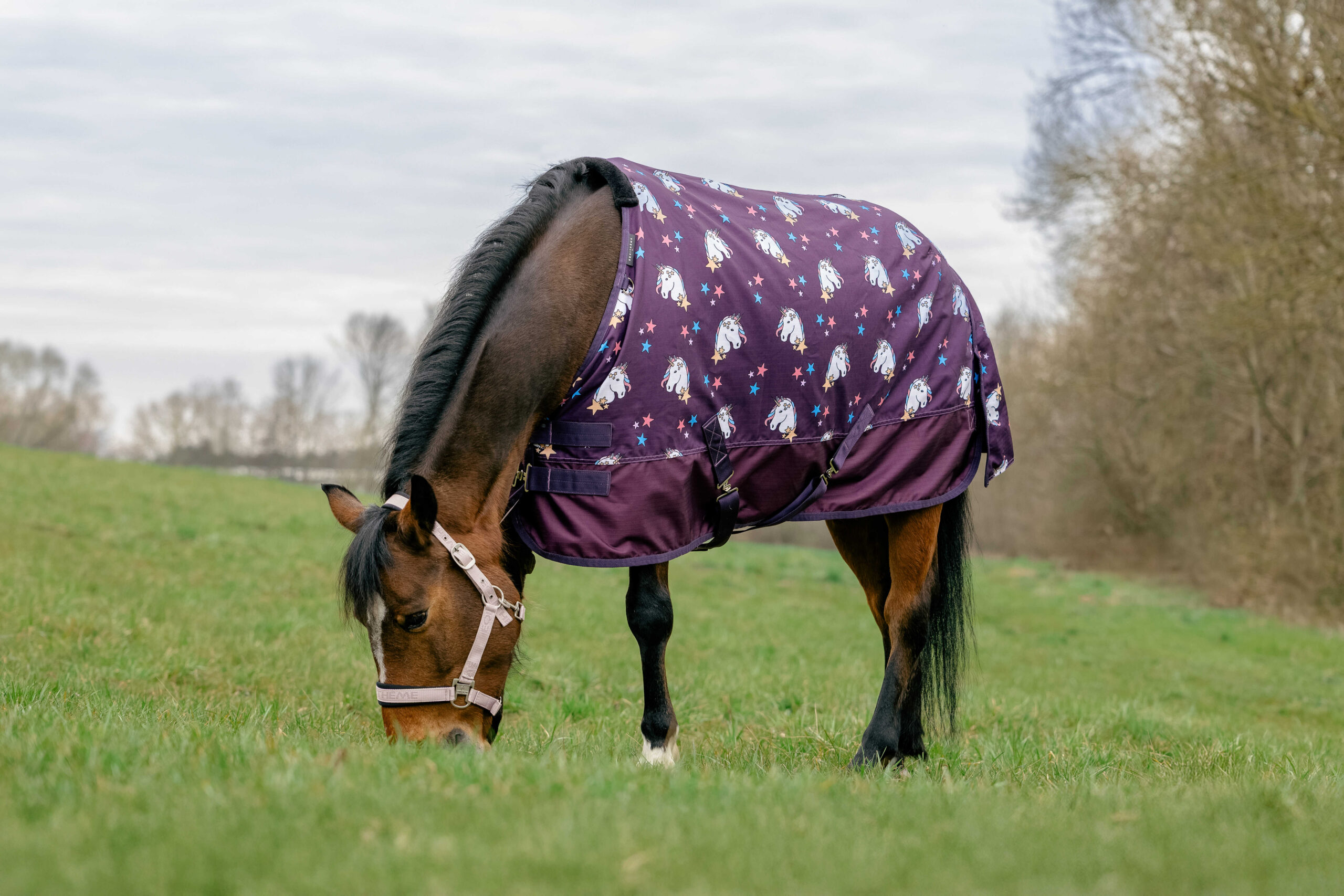 EQUITHÈME Rain Sheet – Standard Unicorn 600D