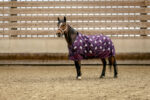EQUITHÈME Turnout Pony Rug Licorne 600 STD 220g - Image 2