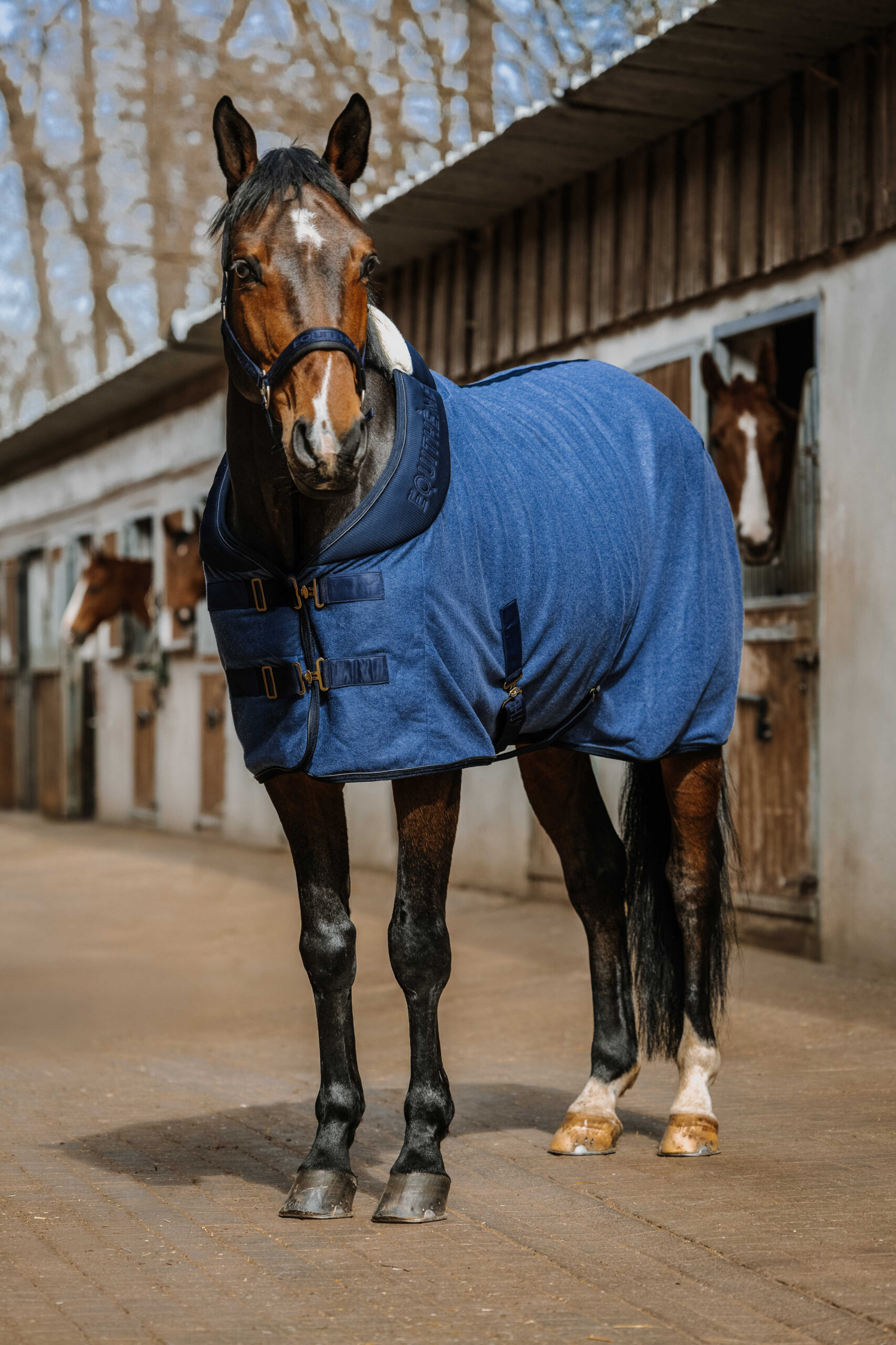 Chemise EQUITHÈME - Confortech