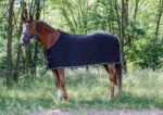 RIDING WORLD Polar fleece sheet - Image 2
