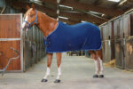 RIDING WORLD Blanket – Fleece - Image 2