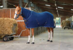 RIDING WORLD - Combo - Polar fleece sheet - Image 2