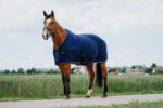 RIDING WORLD Cooler rug - Image 4