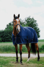 RIDING WORLD Cooler rug - Image 6